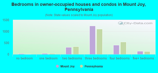 Bedrooms in owner-occupied houses and condos in Mount Joy, Pennsylvania