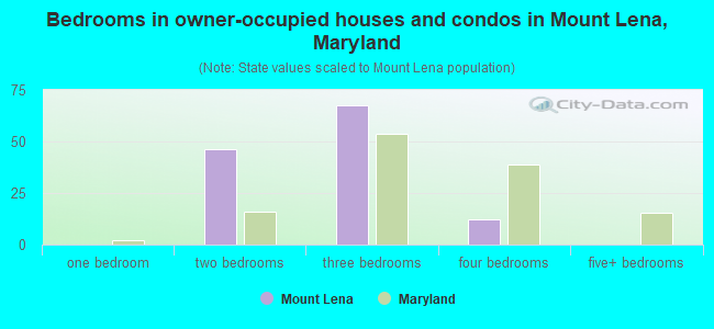 Bedrooms in owner-occupied houses and condos in Mount Lena, Maryland
