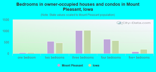 Bedrooms in owner-occupied houses and condos in Mount Pleasant, Iowa