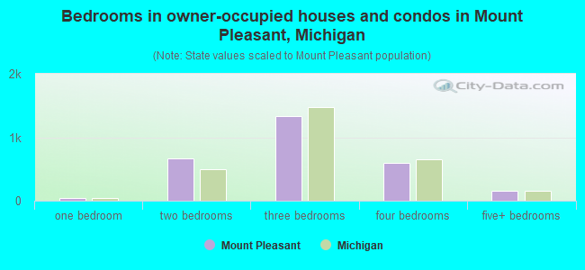Bedrooms in owner-occupied houses and condos in Mount Pleasant, Michigan