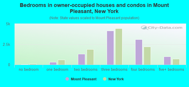 Bedrooms in owner-occupied houses and condos in Mount Pleasant, New York