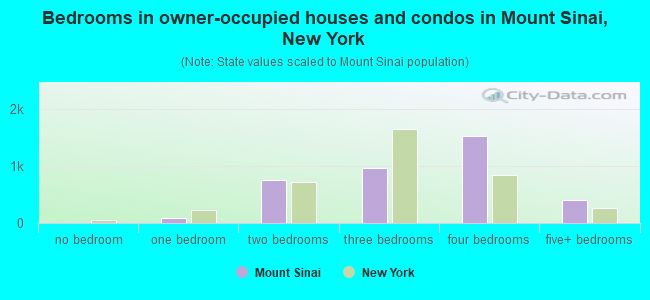 Bedrooms in owner-occupied houses and condos in Mount Sinai, New York