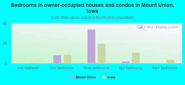 Bedrooms in owner-occupied houses and condos in Mount Union, Iowa