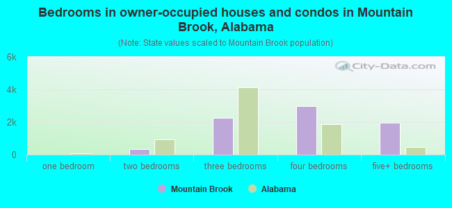 Bedrooms in owner-occupied houses and condos in Mountain Brook, Alabama