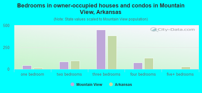 Bedrooms in owner-occupied houses and condos in Mountain View, Arkansas