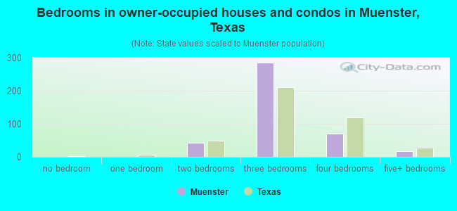 Bedrooms in owner-occupied houses and condos in Muenster, Texas