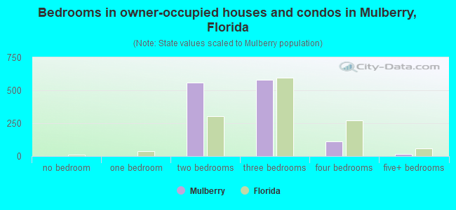 Bedrooms in owner-occupied houses and condos in Mulberry, Florida