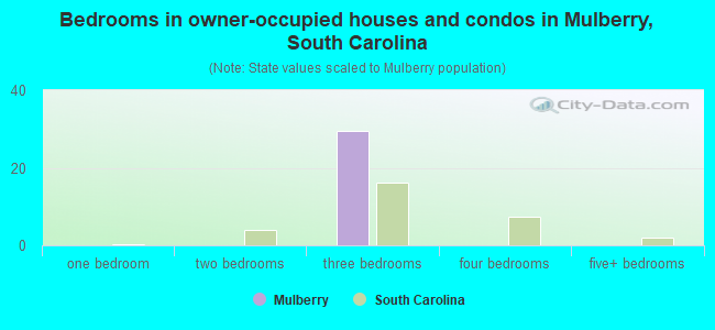 Bedrooms in owner-occupied houses and condos in Mulberry, South Carolina