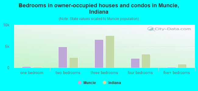 Bedrooms in owner-occupied houses and condos in Muncie, Indiana