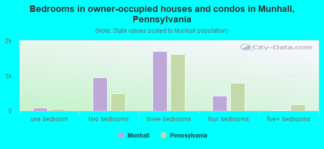 Bedrooms in owner-occupied houses and condos in Munhall, Pennsylvania