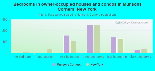 Bedrooms in owner-occupied houses and condos in Munsons Corners, New York