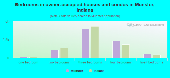 Bedrooms in owner-occupied houses and condos in Munster, Indiana