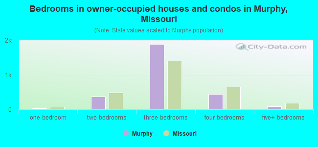 Bedrooms in owner-occupied houses and condos in Murphy, Missouri