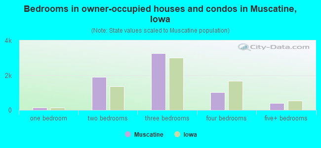 Bedrooms in owner-occupied houses and condos in Muscatine, Iowa