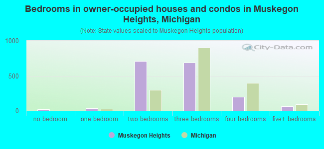 Bedrooms in owner-occupied houses and condos in Muskegon Heights, Michigan