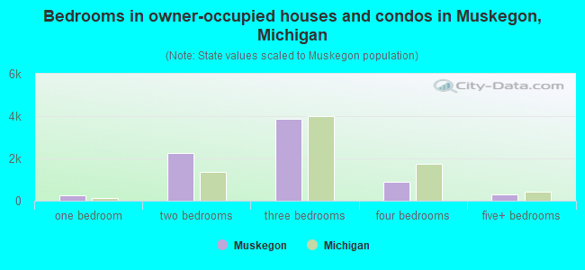 Bedrooms in owner-occupied houses and condos in Muskegon, Michigan