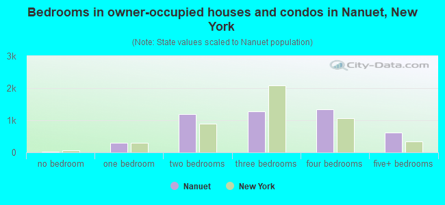 Bedrooms in owner-occupied houses and condos in Nanuet, New York