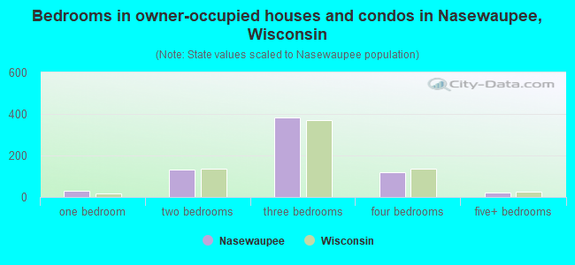 Bedrooms in owner-occupied houses and condos in Nasewaupee, Wisconsin