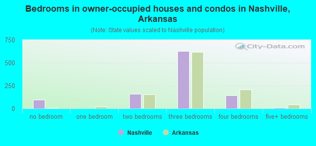 Bedrooms in owner-occupied houses and condos in Nashville, Arkansas