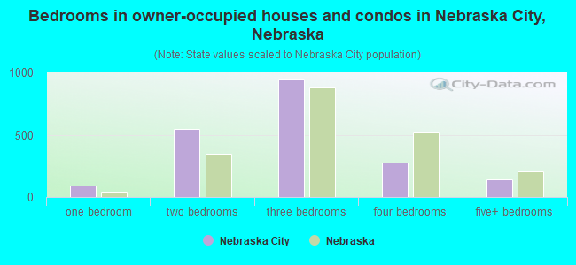 Bedrooms in owner-occupied houses and condos in Nebraska City, Nebraska
