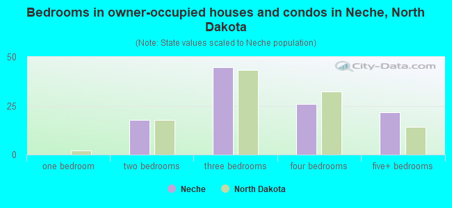 Bedrooms in owner-occupied houses and condos in Neche, North Dakota