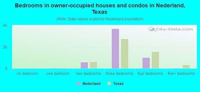 Bedrooms in owner-occupied houses and condos in Nederland, Texas