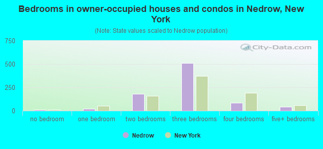 Bedrooms in owner-occupied houses and condos in Nedrow, New York