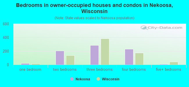 Bedrooms in owner-occupied houses and condos in Nekoosa, Wisconsin