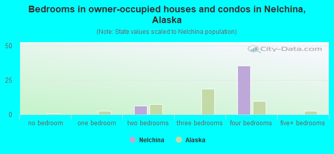 Bedrooms in owner-occupied houses and condos in Nelchina, Alaska