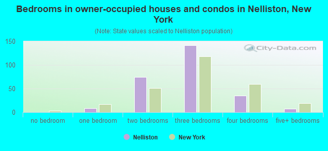 Bedrooms in owner-occupied houses and condos in Nelliston, New York