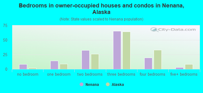 Bedrooms in owner-occupied houses and condos in Nenana, Alaska