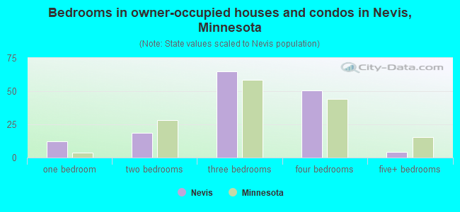 Bedrooms in owner-occupied houses and condos in Nevis, Minnesota