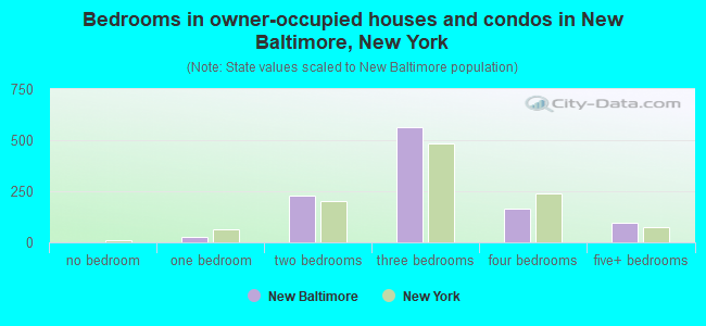 Bedrooms in owner-occupied houses and condos in New Baltimore, New York