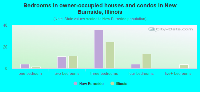 Bedrooms in owner-occupied houses and condos in New Burnside, Illinois