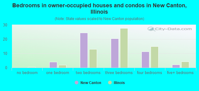 Bedrooms in owner-occupied houses and condos in New Canton, Illinois
