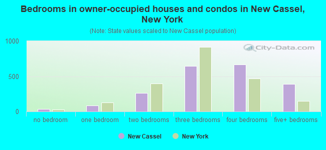 Bedrooms in owner-occupied houses and condos in New Cassel, New York