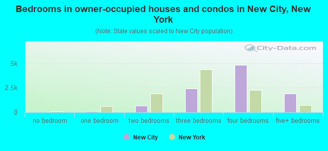 Bedrooms in owner-occupied houses and condos in New City, New York