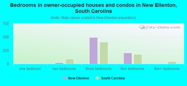 Bedrooms in owner-occupied houses and condos in New Ellenton, South Carolina