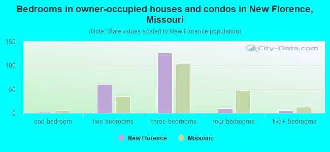 Bedrooms in owner-occupied houses and condos in New Florence, Missouri