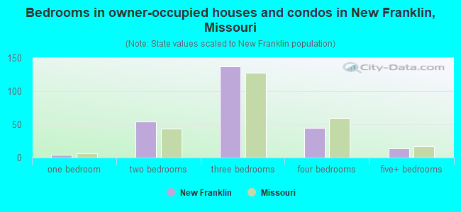 Bedrooms in owner-occupied houses and condos in New Franklin, Missouri