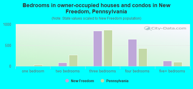 Bedrooms in owner-occupied houses and condos in New Freedom, Pennsylvania