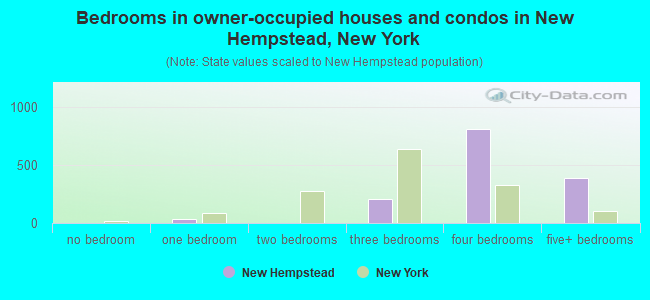 Bedrooms in owner-occupied houses and condos in New Hempstead, New York
