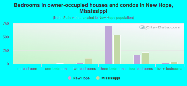 Bedrooms in owner-occupied houses and condos in New Hope, Mississippi