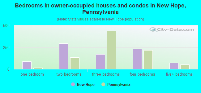 Bedrooms in owner-occupied houses and condos in New Hope, Pennsylvania