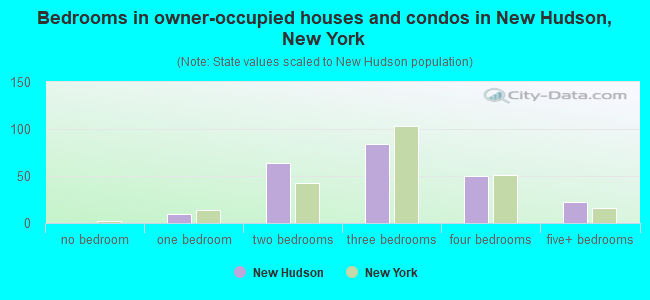 Bedrooms in owner-occupied houses and condos in New Hudson, New York