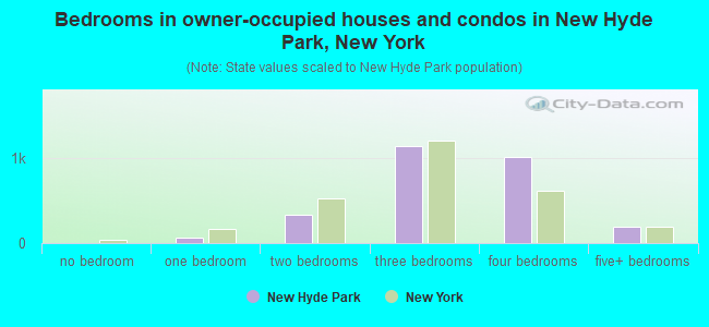 Bedrooms in owner-occupied houses and condos in New Hyde Park, New York