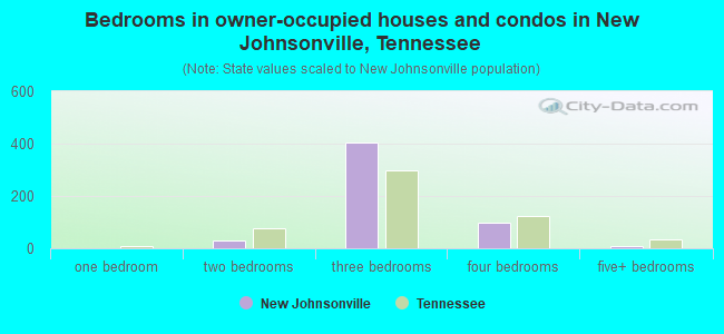 Bedrooms in owner-occupied houses and condos in New Johnsonville, Tennessee