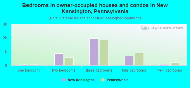 Bedrooms in owner-occupied houses and condos in New Kensington, Pennsylvania