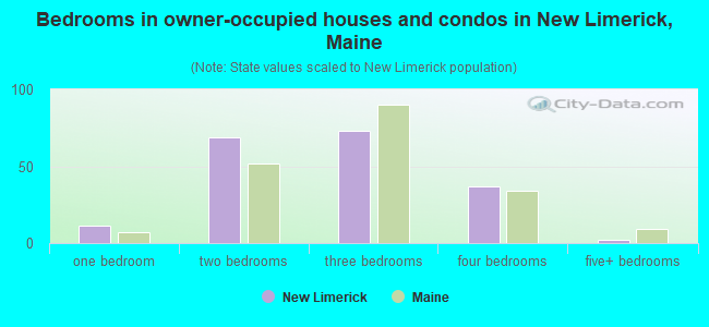 Bedrooms in owner-occupied houses and condos in New Limerick, Maine