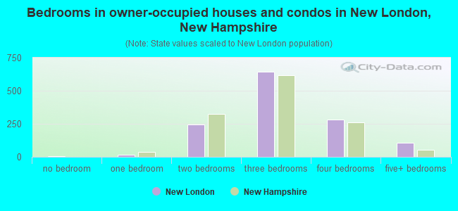 Bedrooms in owner-occupied houses and condos in New London, New Hampshire